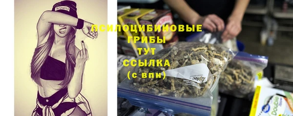 сатива Беломорск