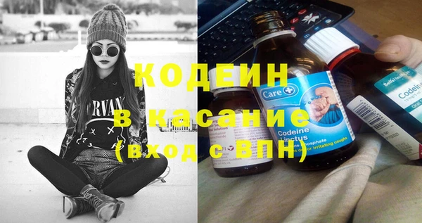 твердый Бородино