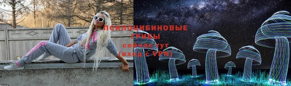 метадон Богородск