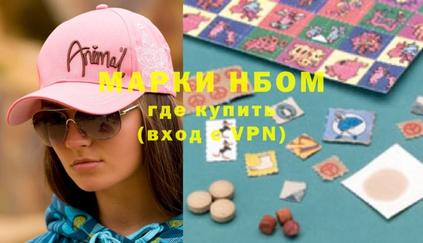 твердый Бородино