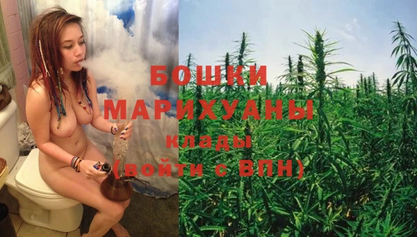 твердый Бородино