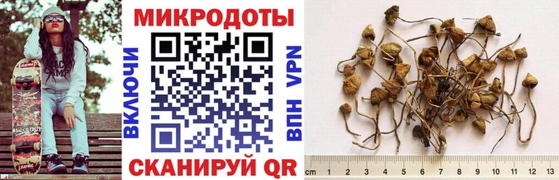что такое Озёрск Псилоцибиновые грибы GOLDEN TEACHER